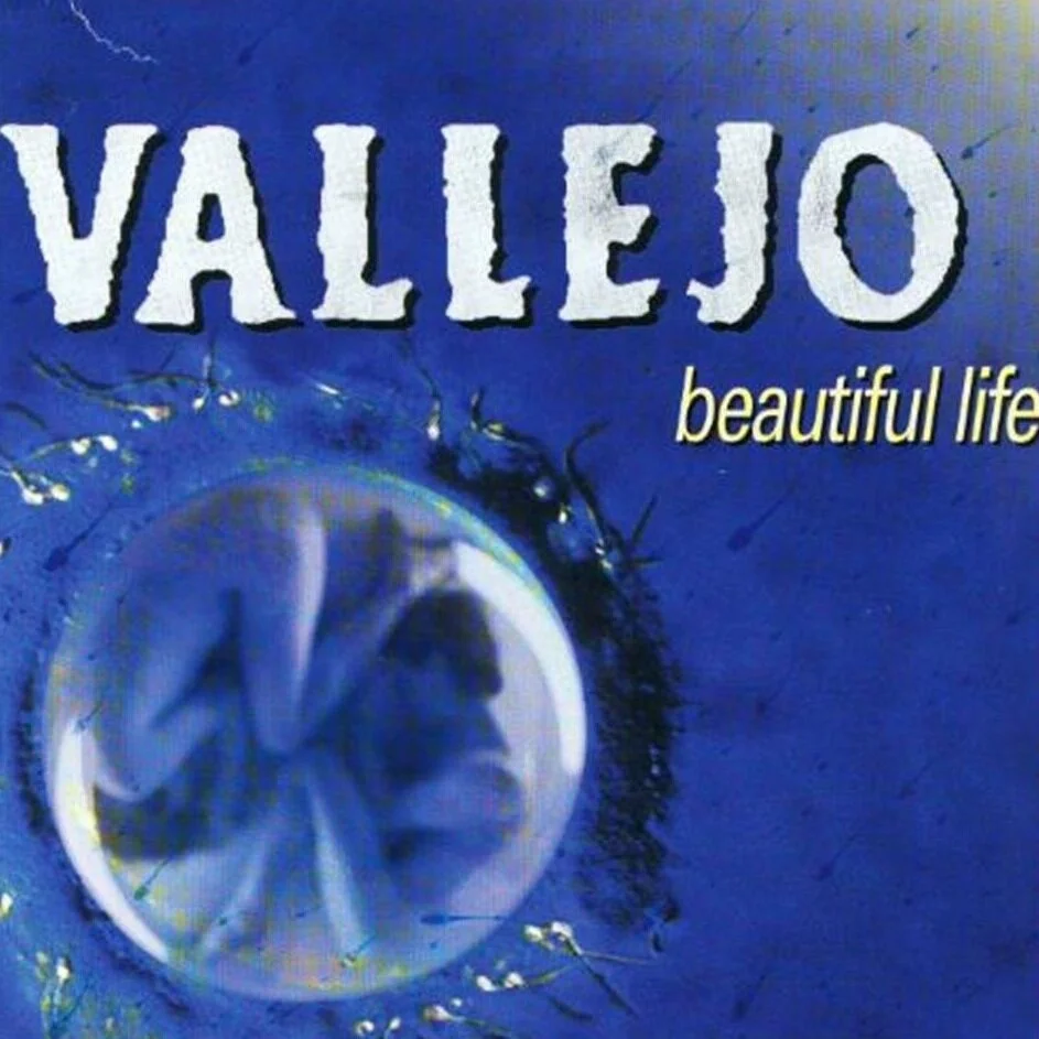Beautiful Life — VALLEJO